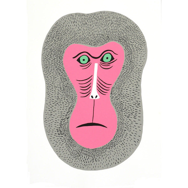 Poster pink monkey baboon
