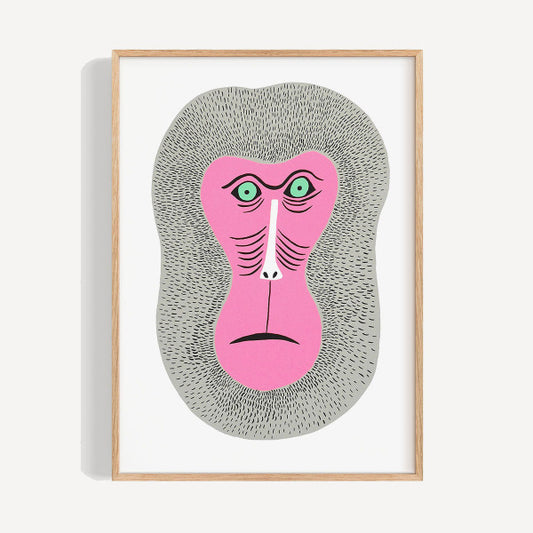 Framed poster monkey pink baboon